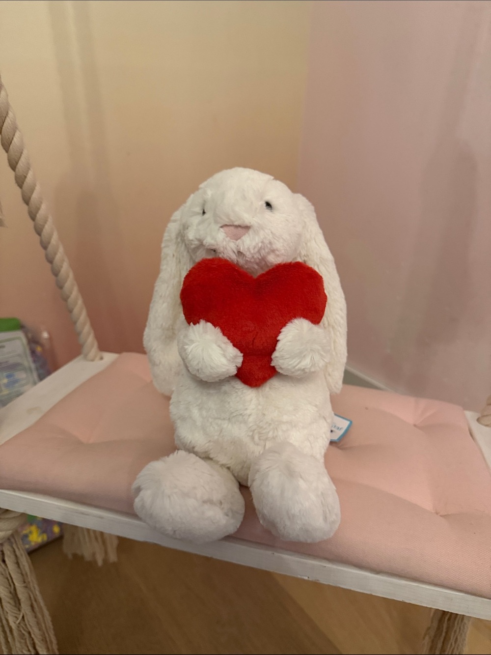 Red heart Jellycat❤️